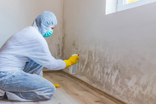 Bathroom Mold Removal assessment in Little Ferry bathroom